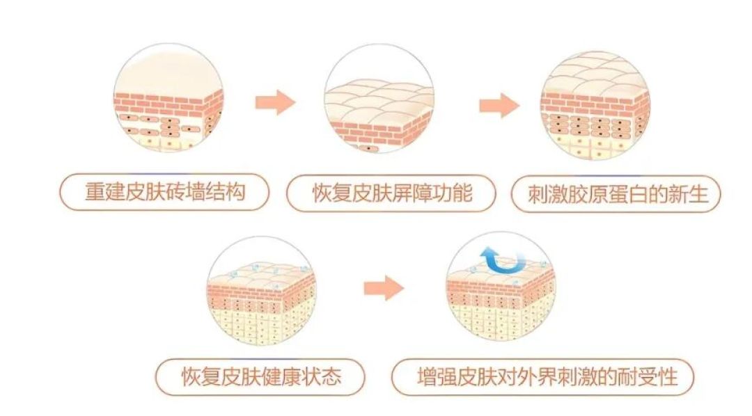 处暑还有两天,脸又开始闹脾气?刷完全网“换季护肤”帖:十篇里七篇是软广,值得留的就这5条