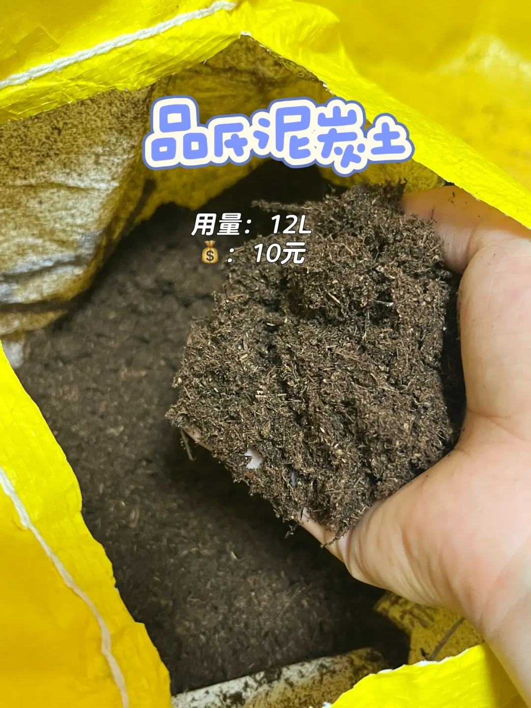 黑盆54℃，白盆32℃：翻了近期几十篇换盆配土帖，度夏幸存的绿植处暑后先做什么、盆土钱怎么花，我理清了