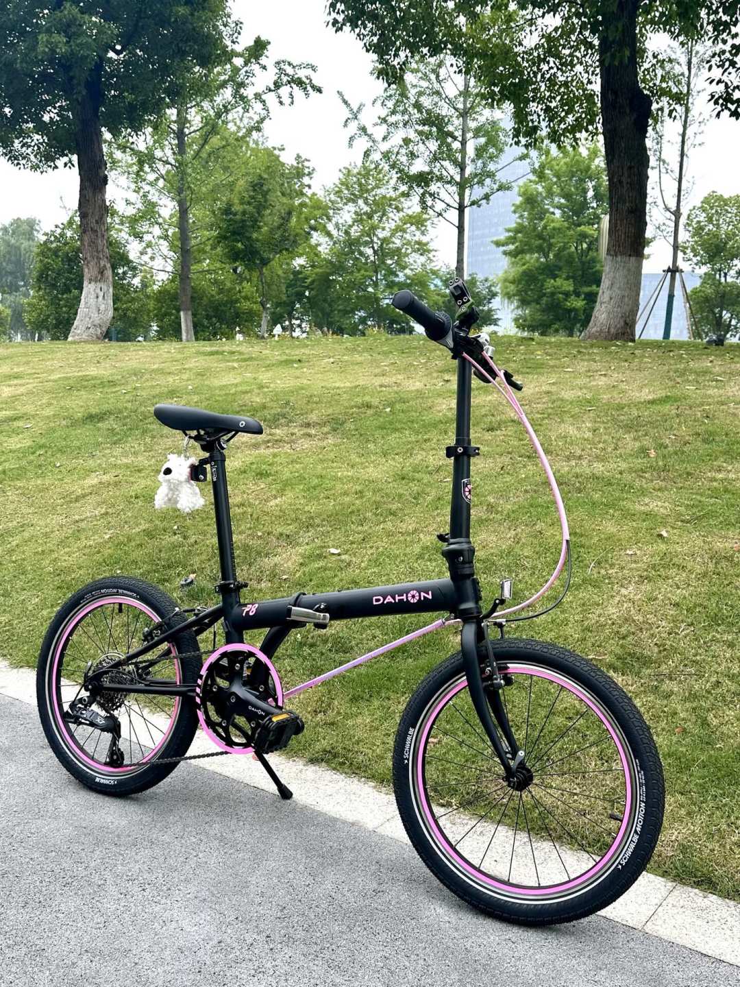 折叠车改色是花