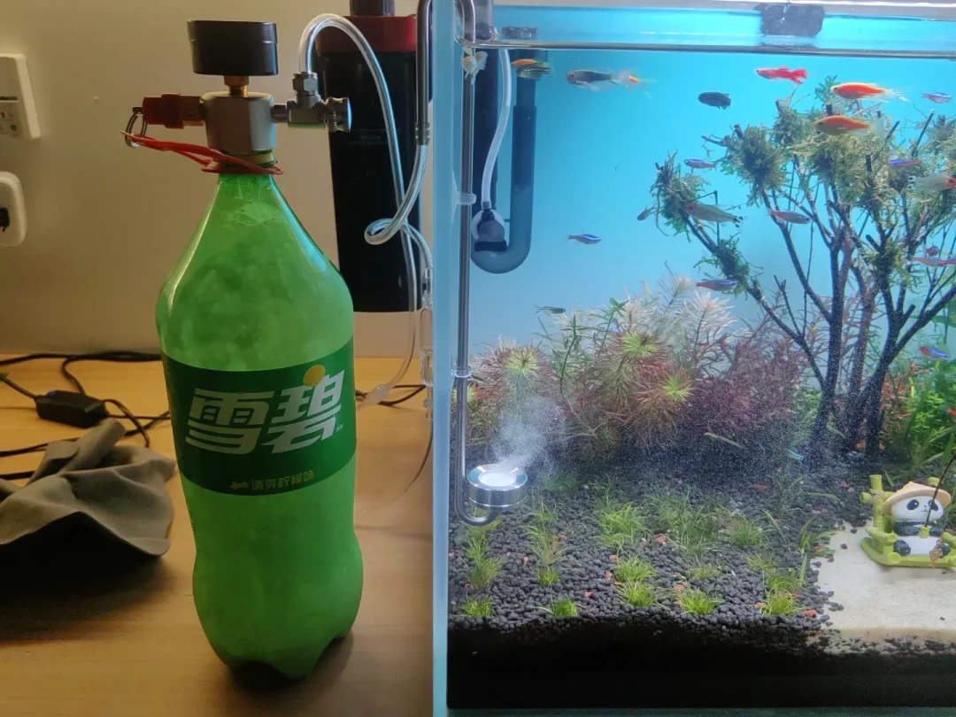 泡腾片被骂智商税，灭火器被捧成省钱天花板：翻完60多条草缸供碳记录，六条路的钱和坑都在这张表里
