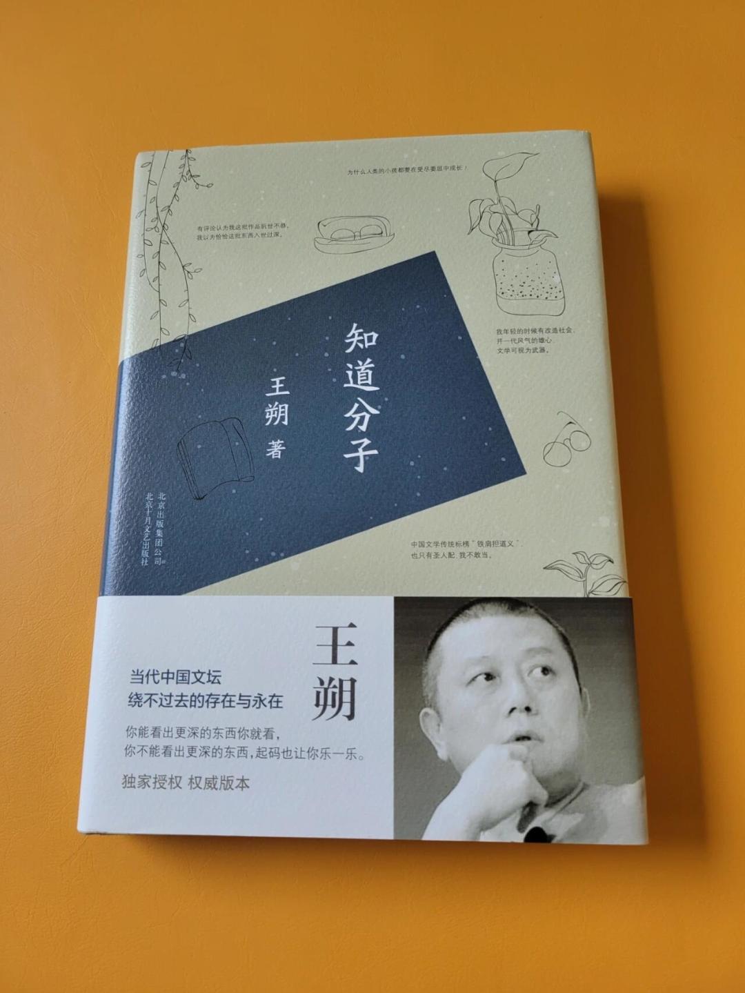 “王朔评人”剪辑刷屏B站:朔爷夸过谁、怼过谁,我替你核了一遍出处