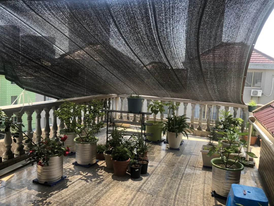 处暑就把遮阳网收了?秋老虎还没走:撤网时机、针数虚标、遮光率怎么选,一篇说清