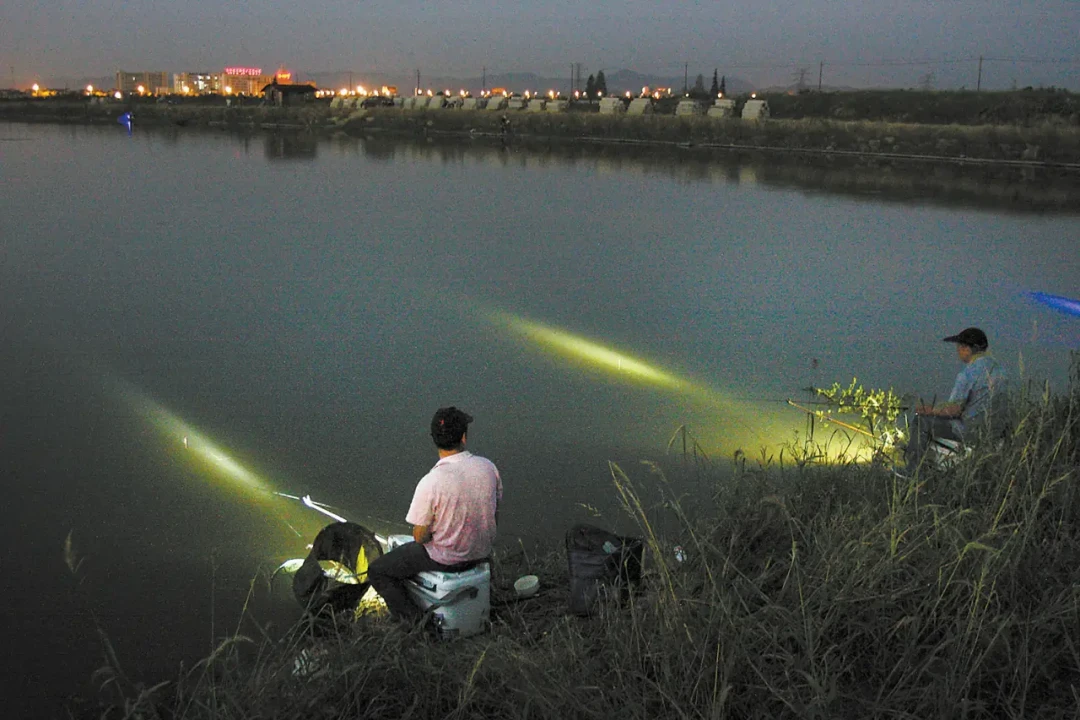 白天空军?鱼是换班了:8月末夜钓的两个真开口窗口、三笔不该省的钱和三笔赔不起的账