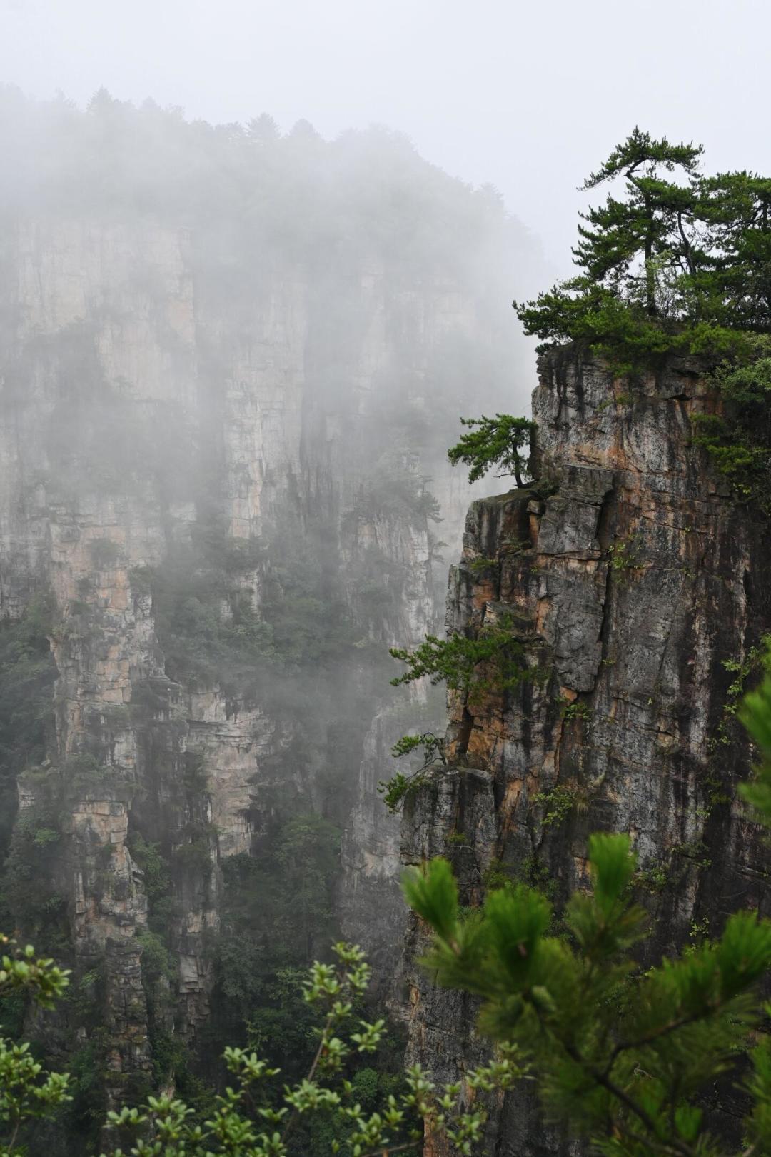 机票腰斩但门票不降:华中旅游真正的降价窗口是9月1日到24日这24天,3个