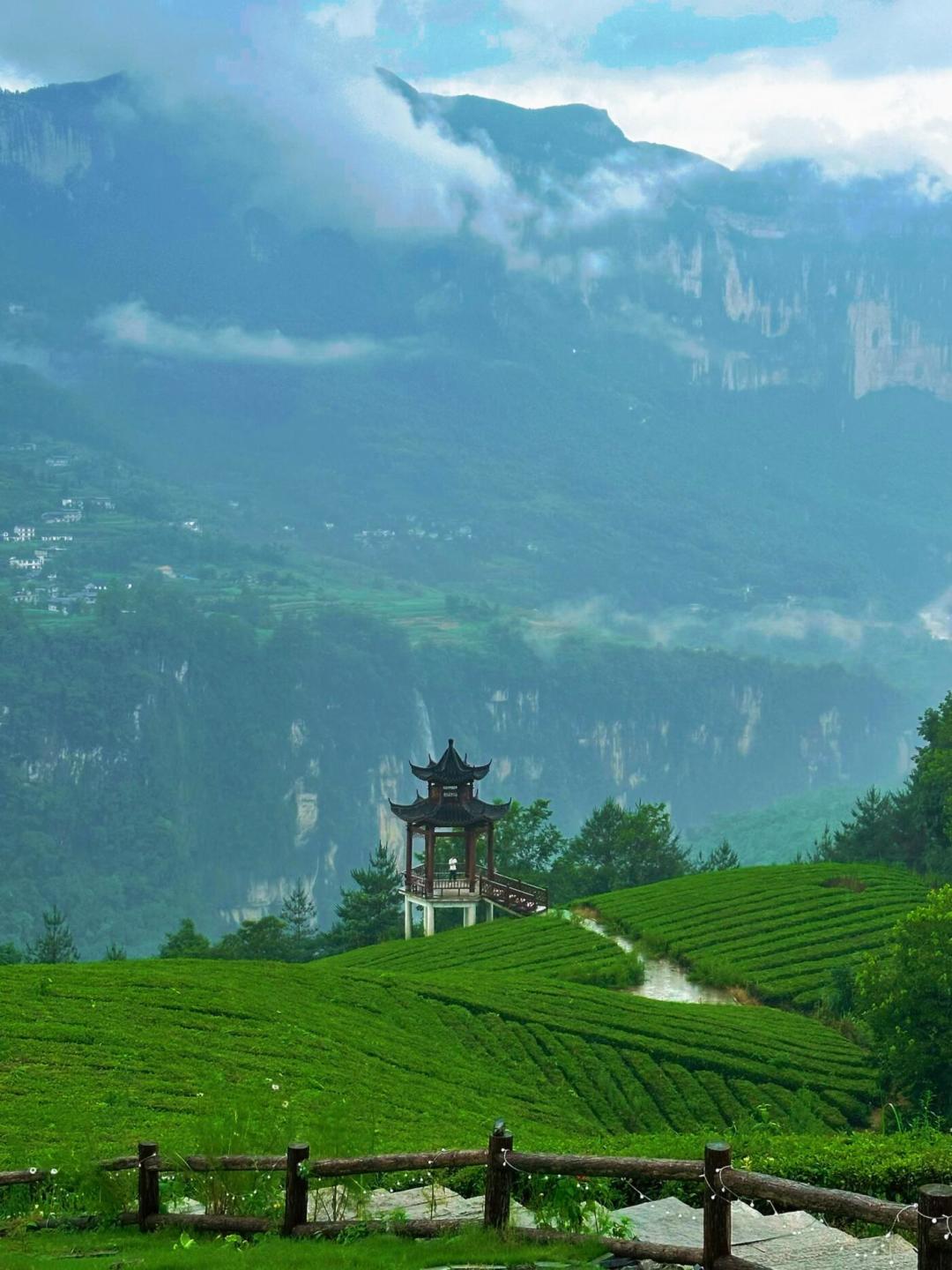 机票腰斩但门票不降:华中旅游真正的降价窗口是9月1日到24日这24天,3个