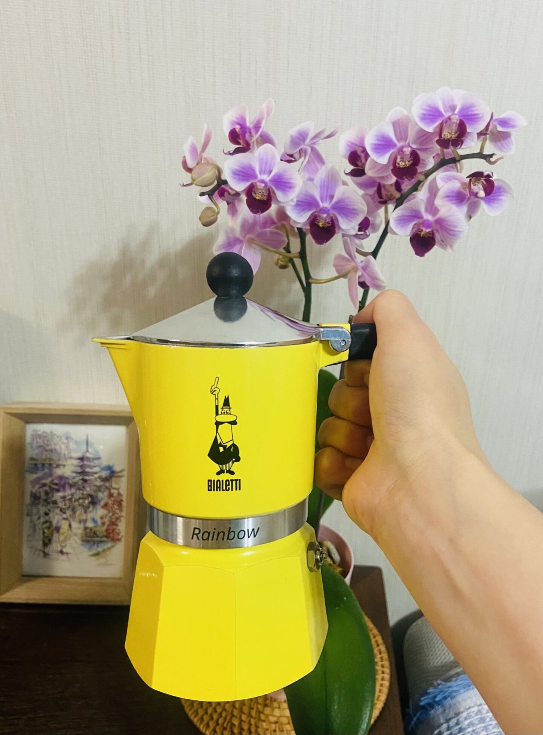 苦如中药、淡如黑水、还没油脂：你的比乐蒂大概率没坏