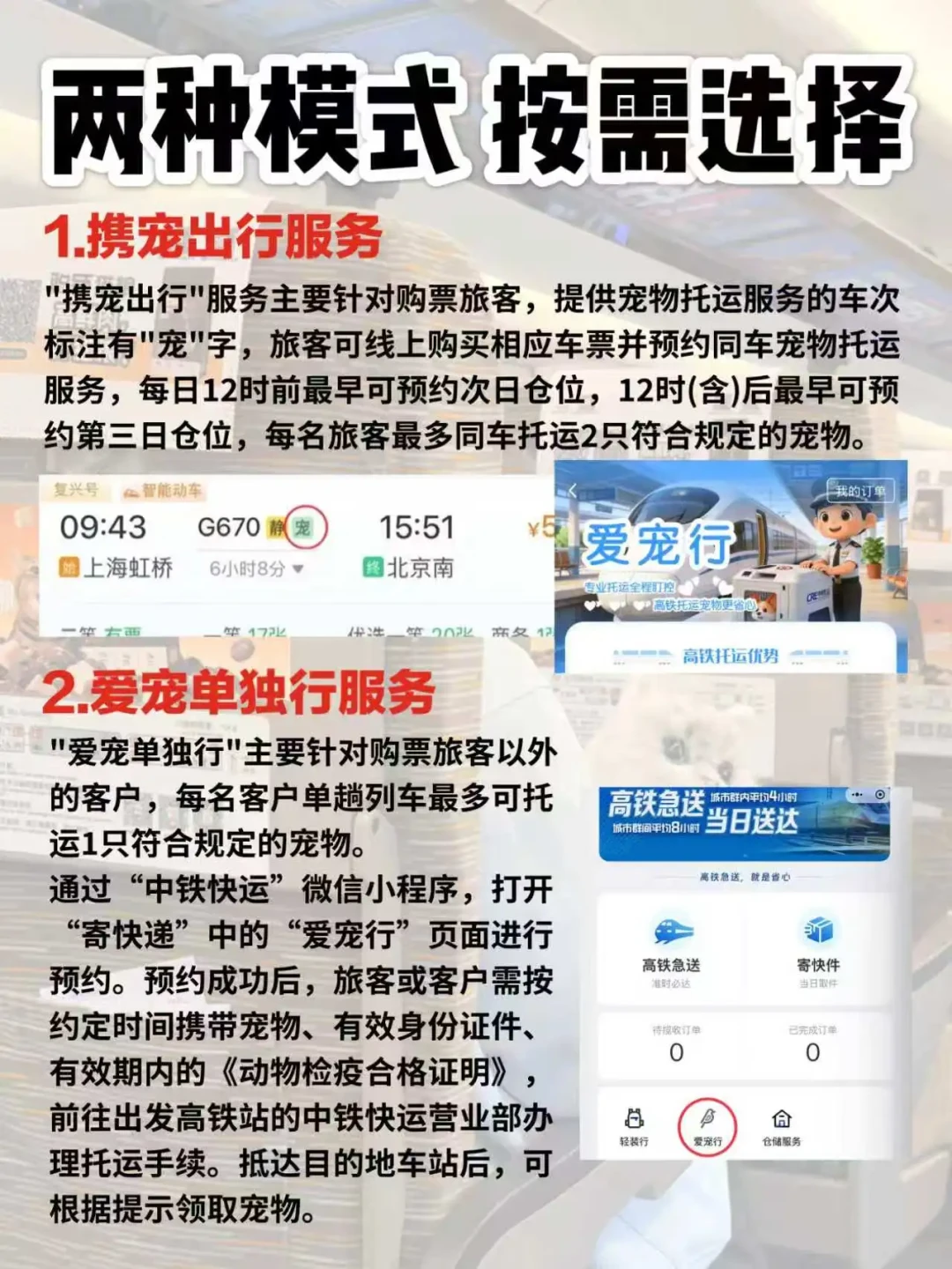 猫狗送外地,1000公里报价300块?翻了十几条曝光帖,托运的套路就这么几种