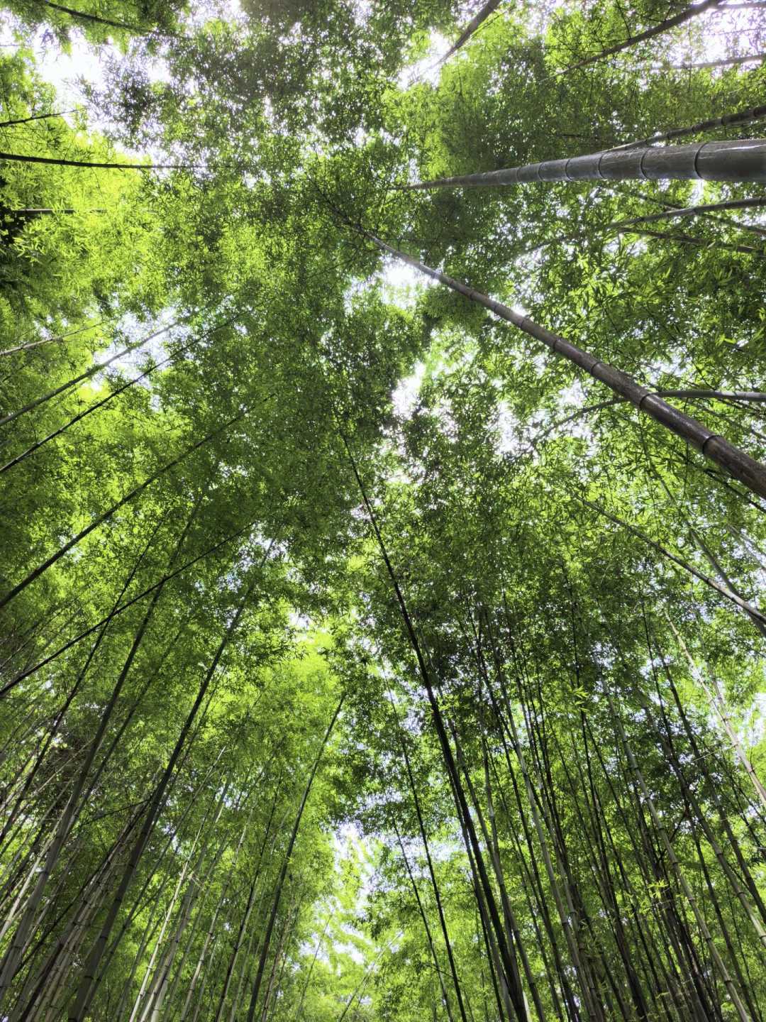 山已入秋,你的装备还在过夏天:城郊轻徒步