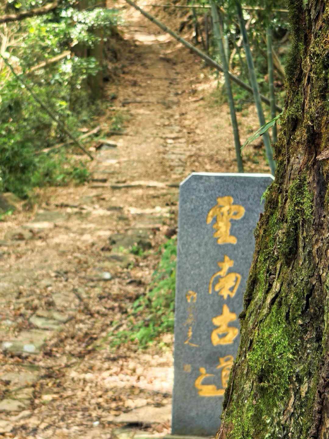 山已入秋,你的装备还在过夏天:城郊轻徒步
