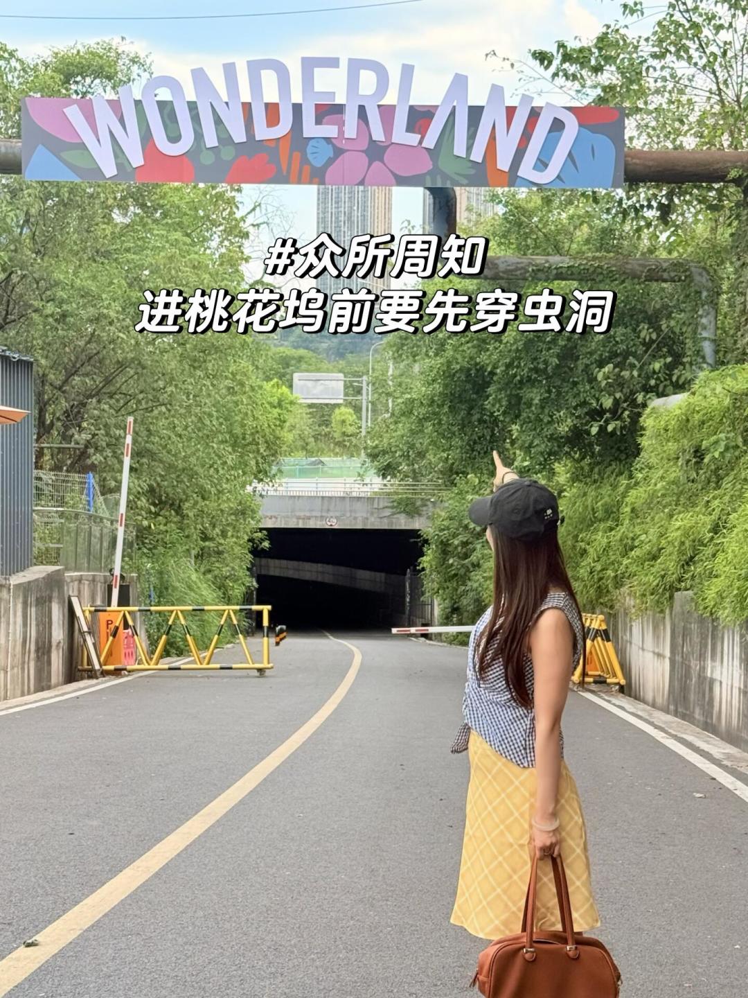 《桃花坞6》坞民评分表流传：方媛2.0、孟子义8.0，对照4个平台数据，这3处站不住