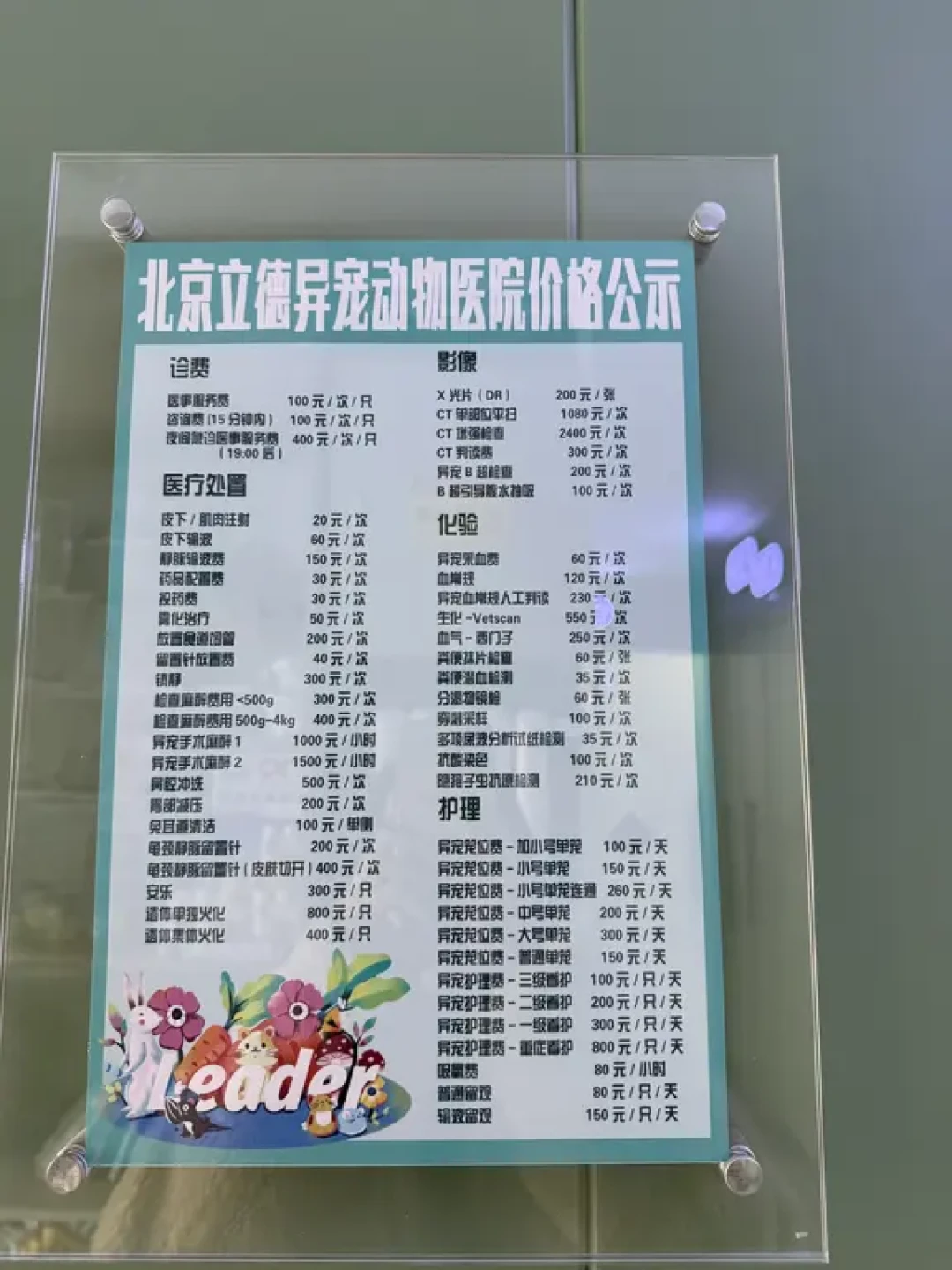 宠物险终于卷到鹦鹉了:一只几十块的鸟,值得为8000块的医药费上保险吗