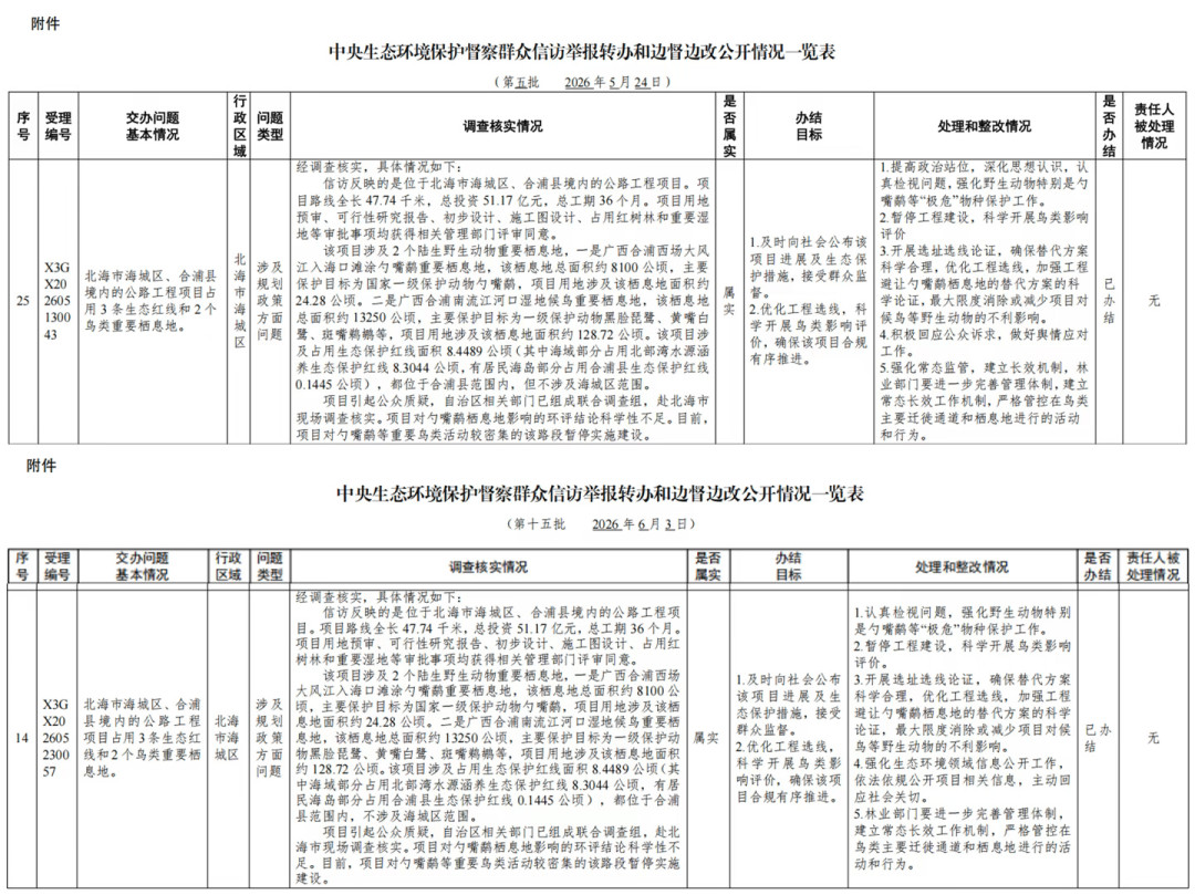 G228为勺嘴鹬停工后静默90天:这个冬天鸟回西场时,你拍的每张照片都是证据