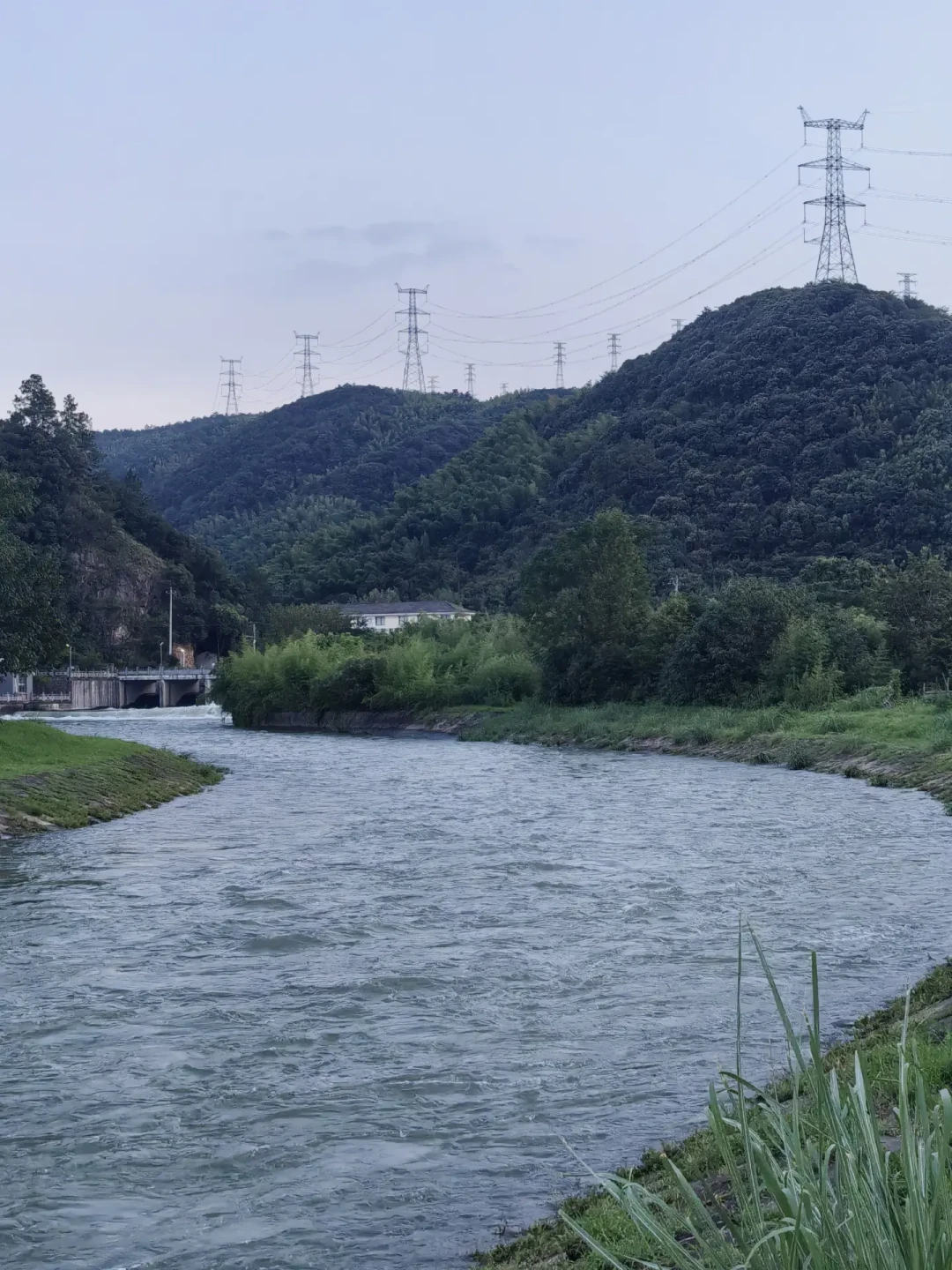 涨水=鳜鱼没口?汇总全网近期15个案例:打龟的看水位,爆护的看水色
