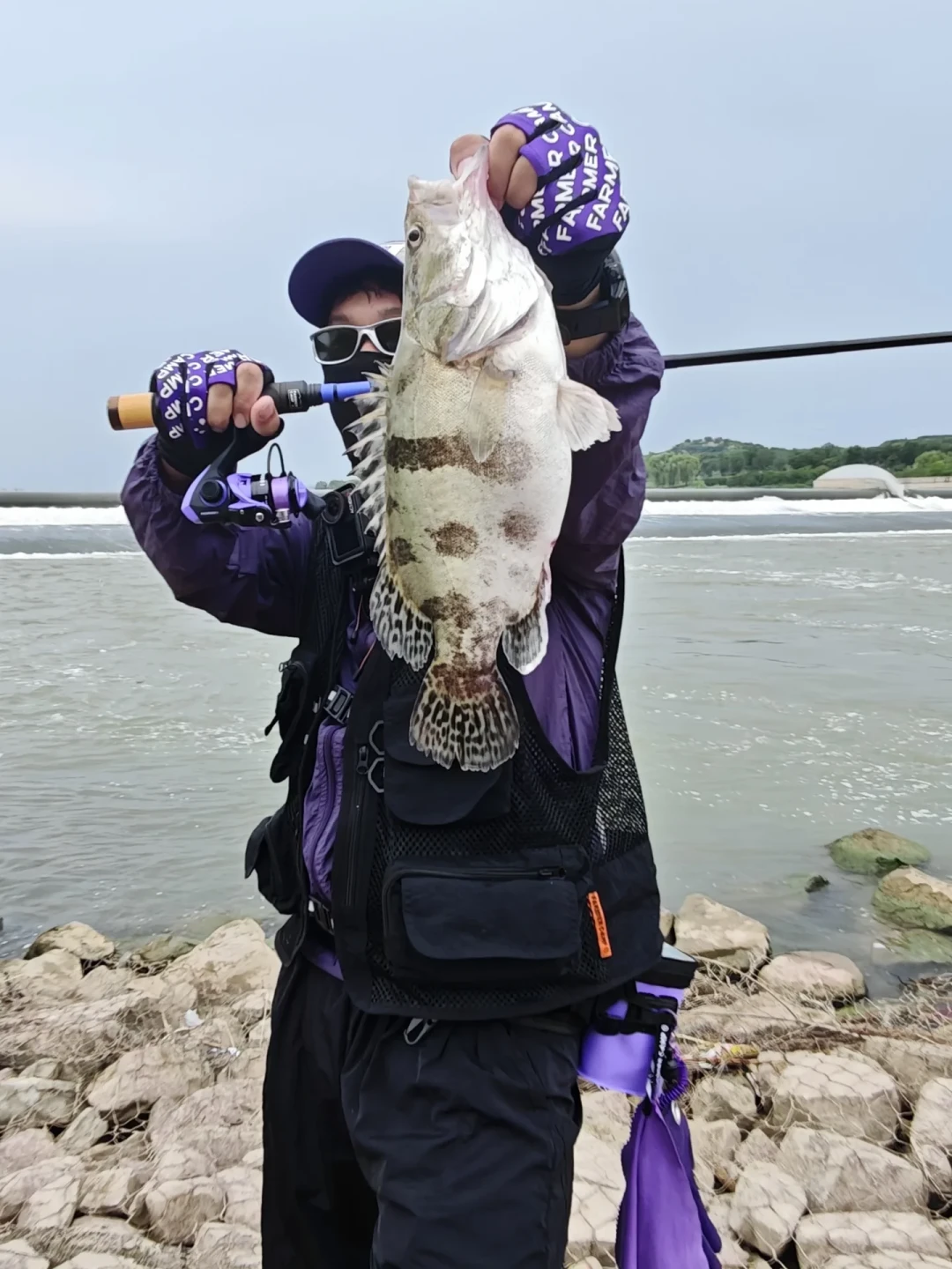 涨水=鳜鱼没口?汇总全网近期15个案例:打龟的看水位,爆护的看水色