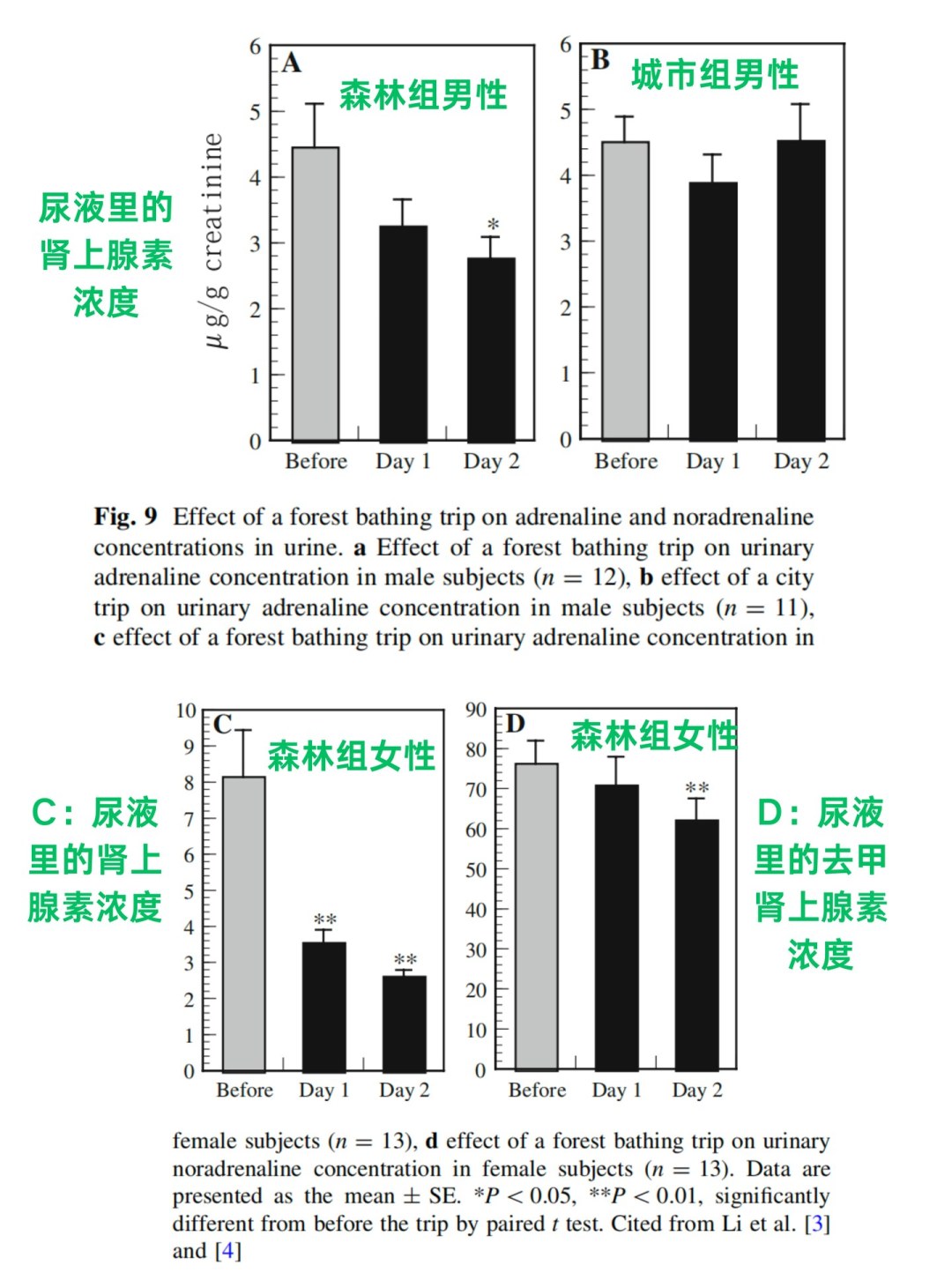 从“皮质醇降21%”到“唤醒高维智慧”:刷屏的8个森林浴说法,我们逐个对了一遍