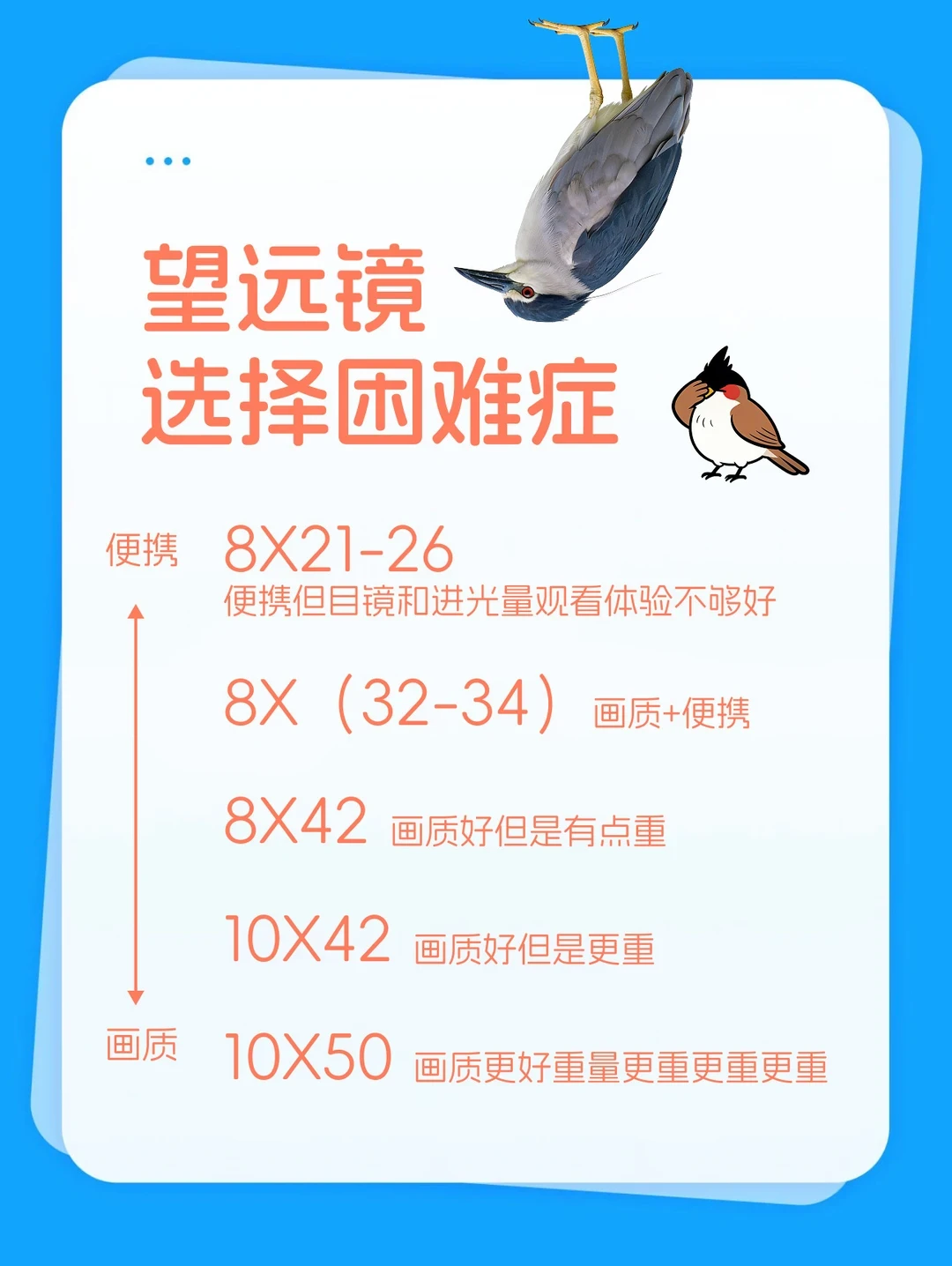 4650元的AI观鸟望远镜开众筹,首批用户却等了一年:秋天入坑观鸟前,先算清这三条路