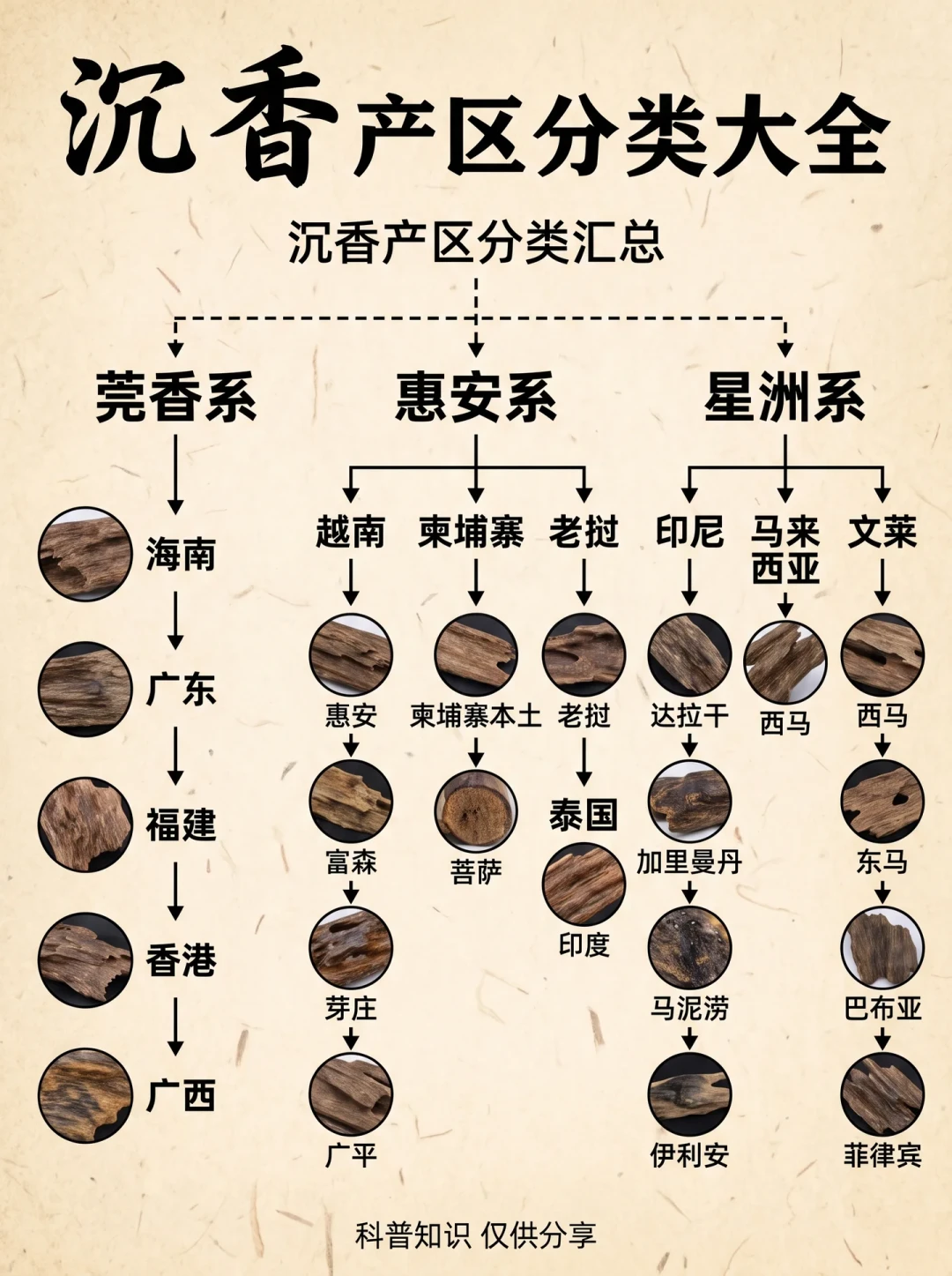 四份产区排行榜,四个排法:沉香的“产区”到底在看什么