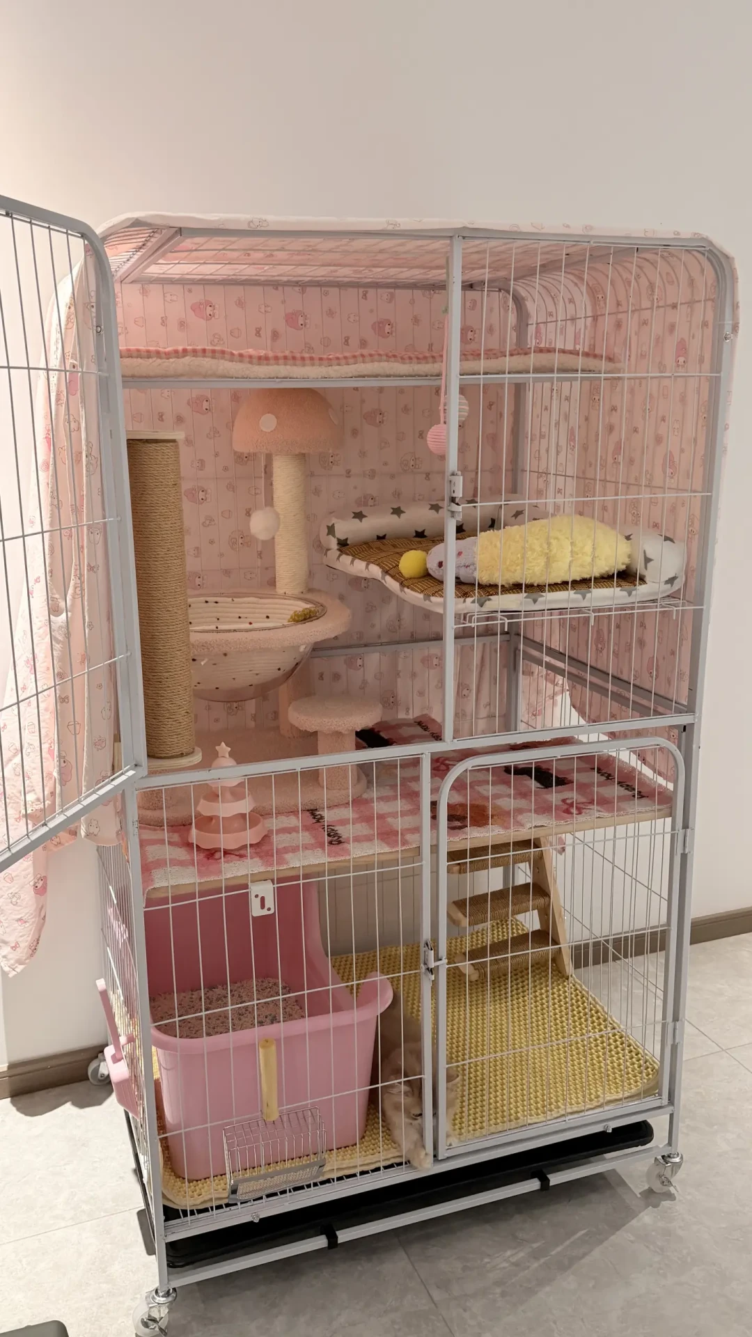 林高远的12只猫上了热搜，我翻完几十份多猫家庭账单：有些钱猫越多越省，有些钱一分少不了