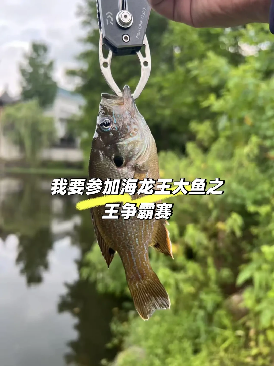 海龙王“大鱼之王”最新周榜出炉：三条赛道还空着，140cm的成绩存疑，现在参赛来得及吗