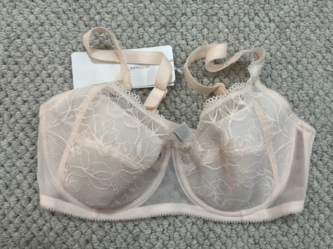 黛安芬撤柜9个月,求