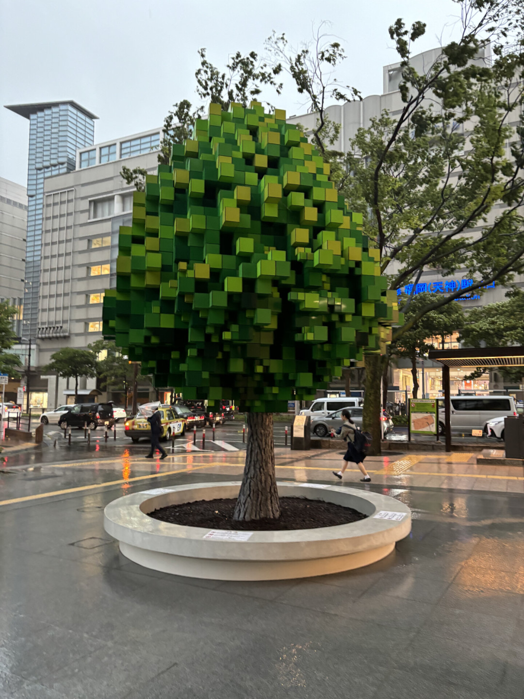 黛安芬撤柜9个月,求