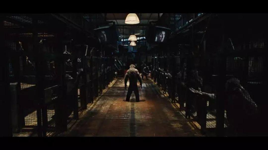 《猩球崛起》新片上映前怎么补课最省时间?58年10部片共19小时:按空闲程度选三条路线,再认准这三条假消息