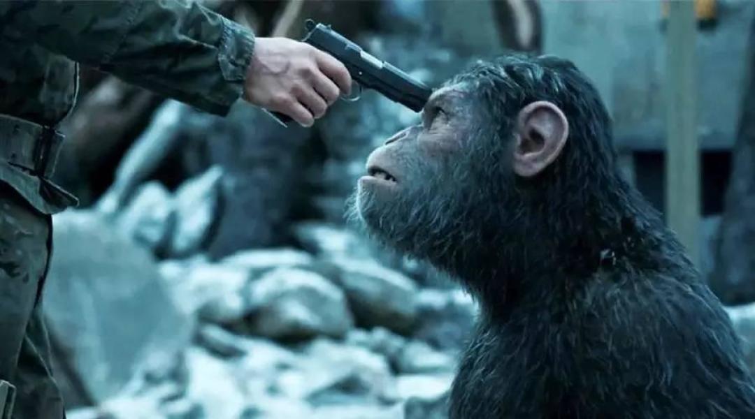 《猩球崛起》新片上映前怎么补课最省时间?58年10部片共19小时:按空闲程度选三条路线,再认准这三条假消息