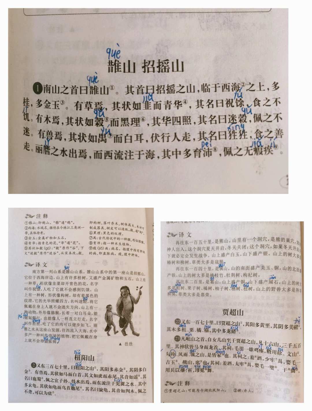 《山海经》进了四年级必读书目,大人却读不动:四类童书版本对比清楚,开学前看还来得及