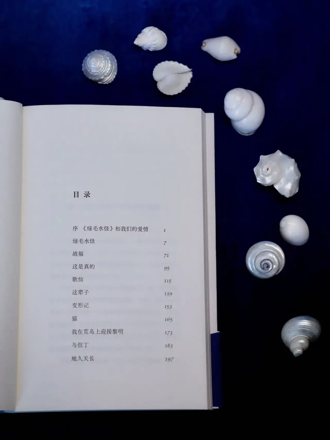 王小波那句'终生记住前半部',为什么只有前半部?顺着《绿毛水怪》书单溯源,《涅朵奇卡》到底买哪个译本