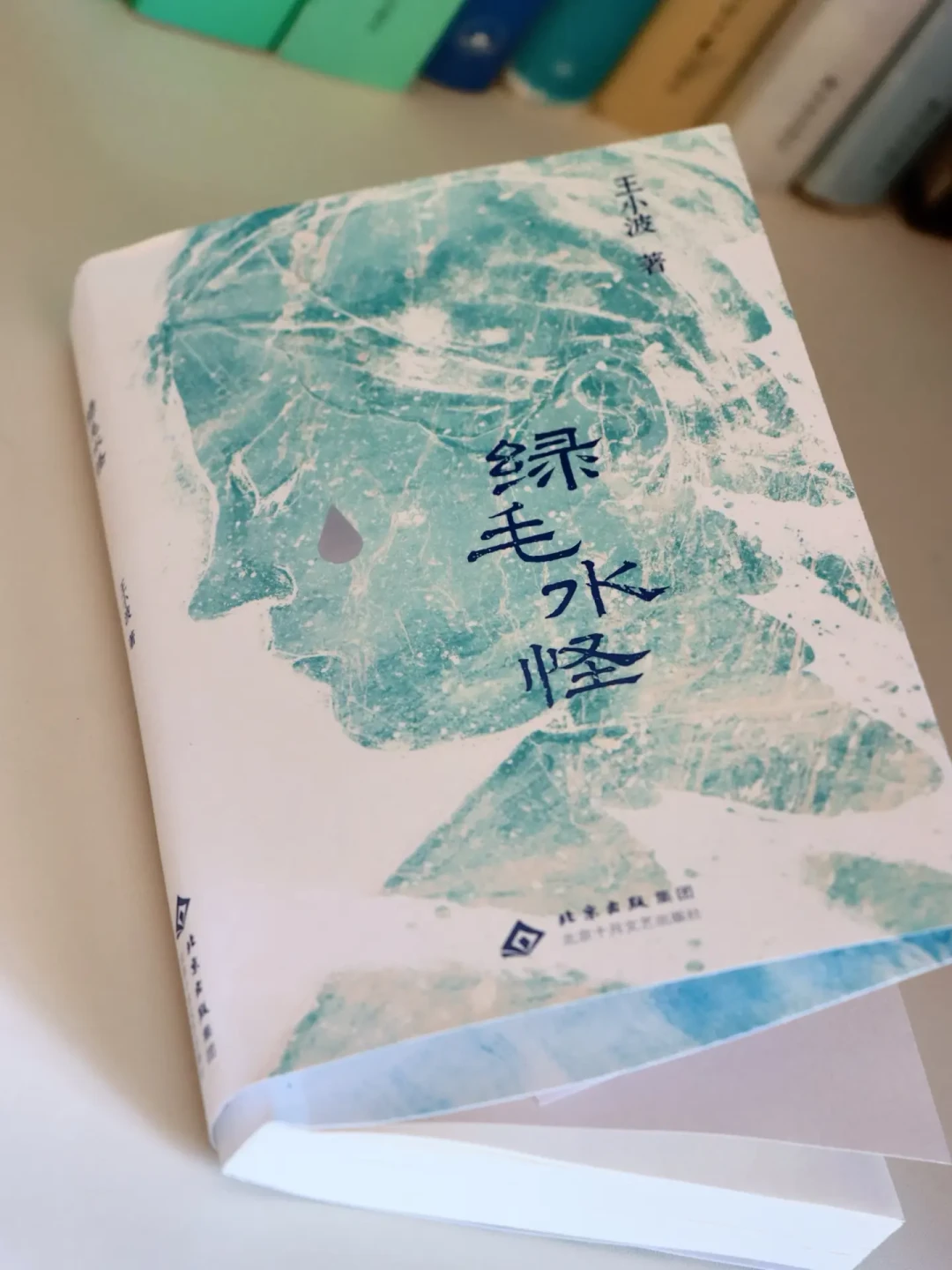 王小波那句'终生记住前半部',为什么只有前半部?顺着《绿毛水怪》书单溯源,《涅朵奇卡》到底买哪个译本