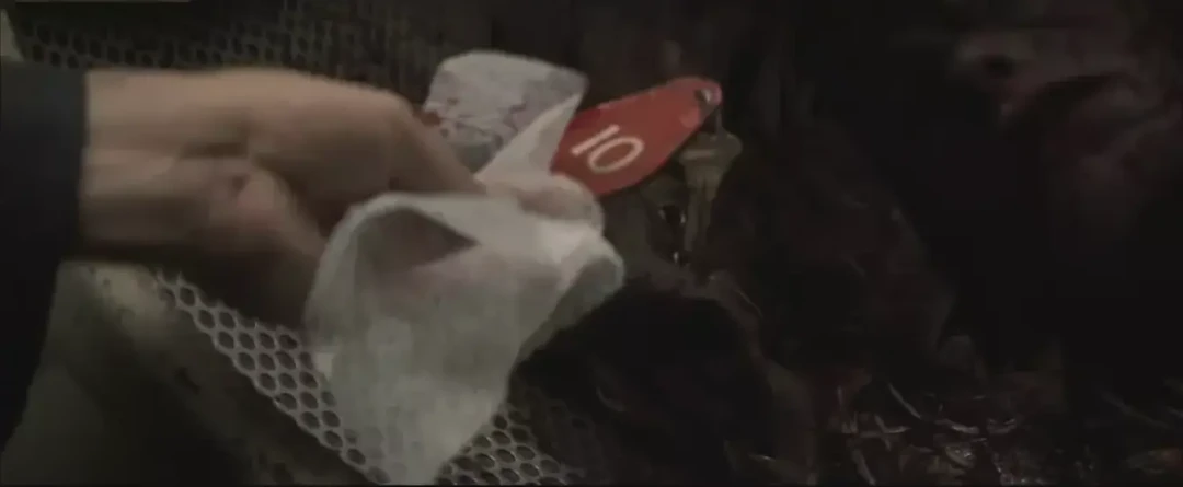 《致命ID》这个夏天吵得最凶的问题:让11个人格互相厮杀,活下善良的那个,是救赎还是“养蛊”?