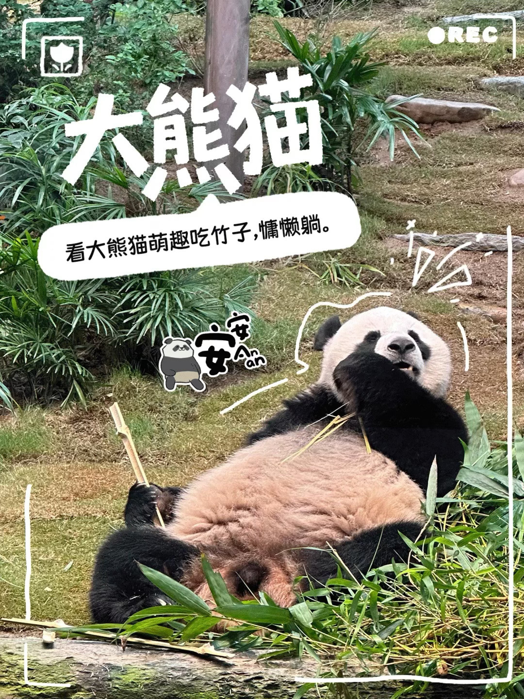 王嘉尔的暗黑古堡来了！海洋公园万圣节早鸟票26日截止：买哪种票、选哪个场次，一次说清