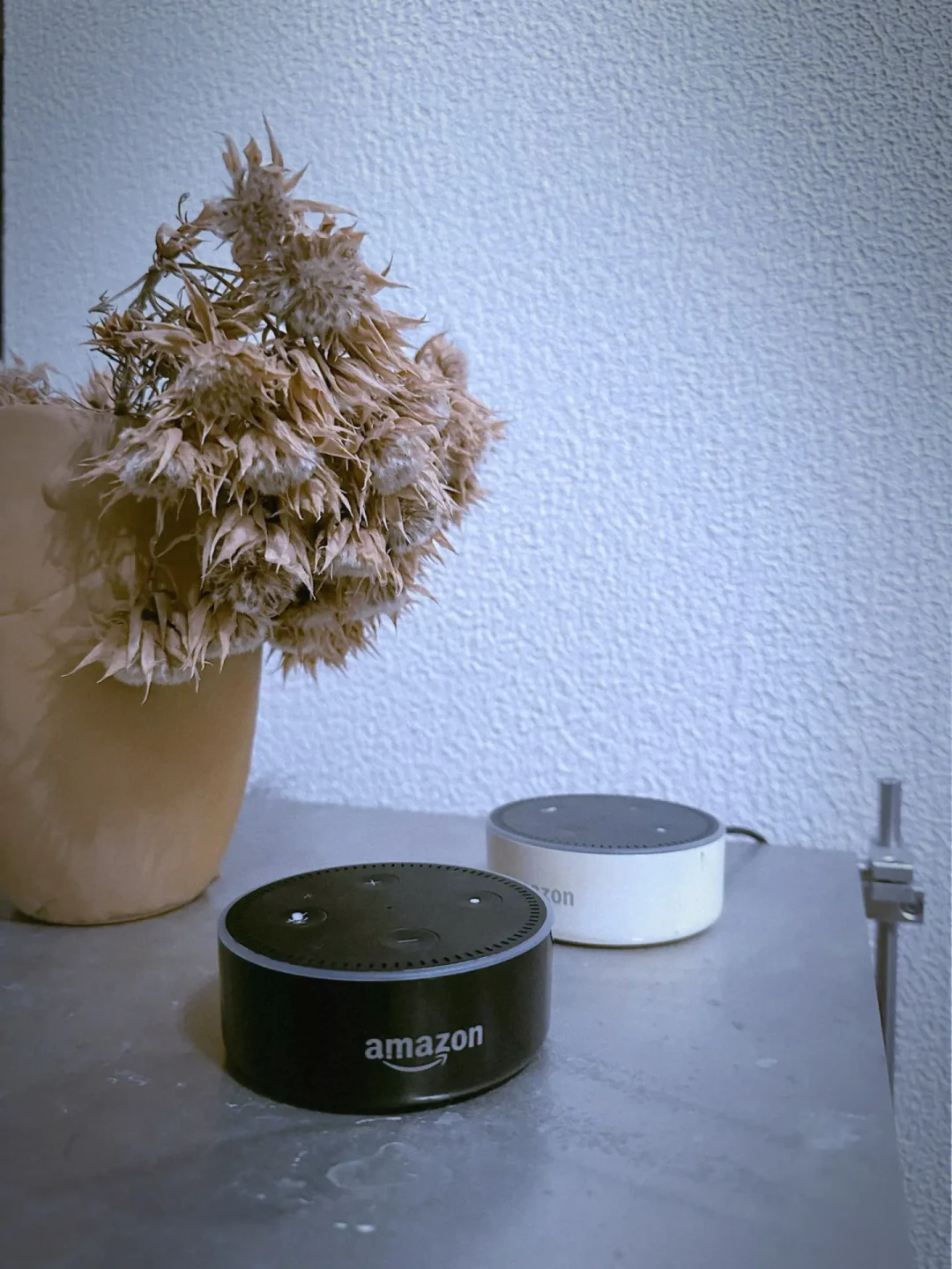 Alexa+免费铺开,海外狂赞Echo