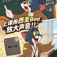 买到的最满意的教师扩音器