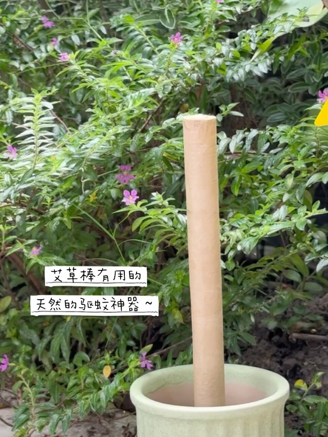 处暑到了，院子里的蚊子却没打算下班：从50块到3万，我把花钱顺序和智商税黑名单整理出来了
