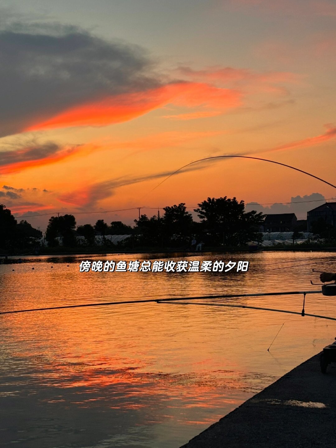 台钓老空军,隔壁大爷却连竿?别急着换传统钓,先做完这套诊断