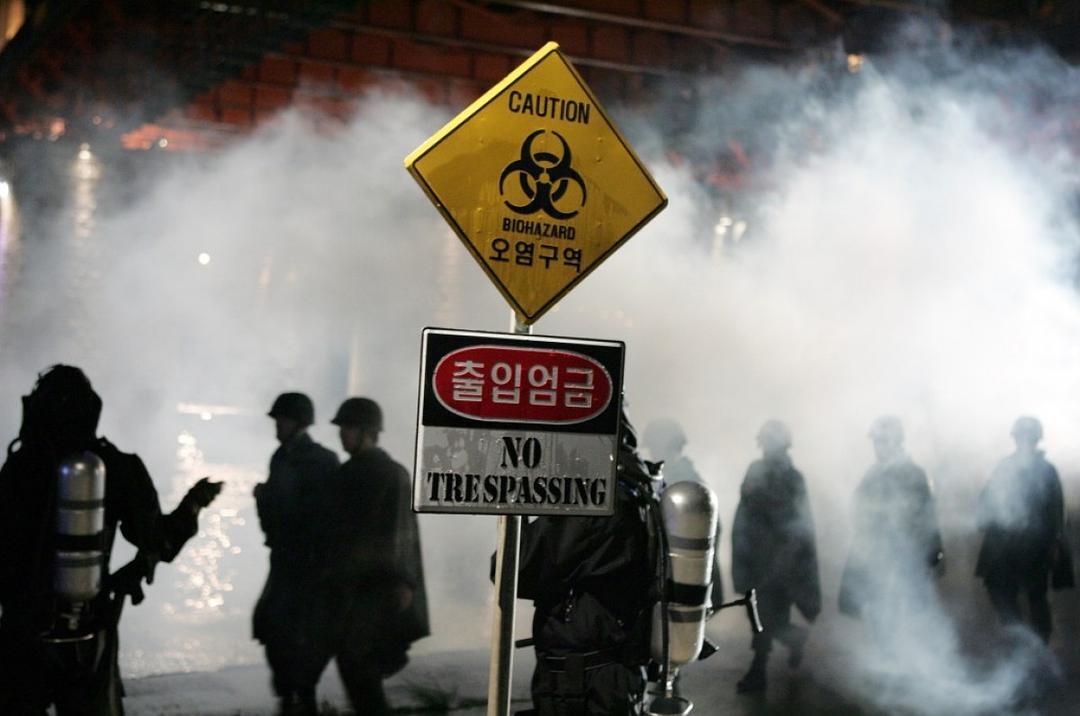 奉俊昊要去深海养一只小鱿鱼了:7年筹备、韩国影史最贵,动画新片《Ally》值得等吗?