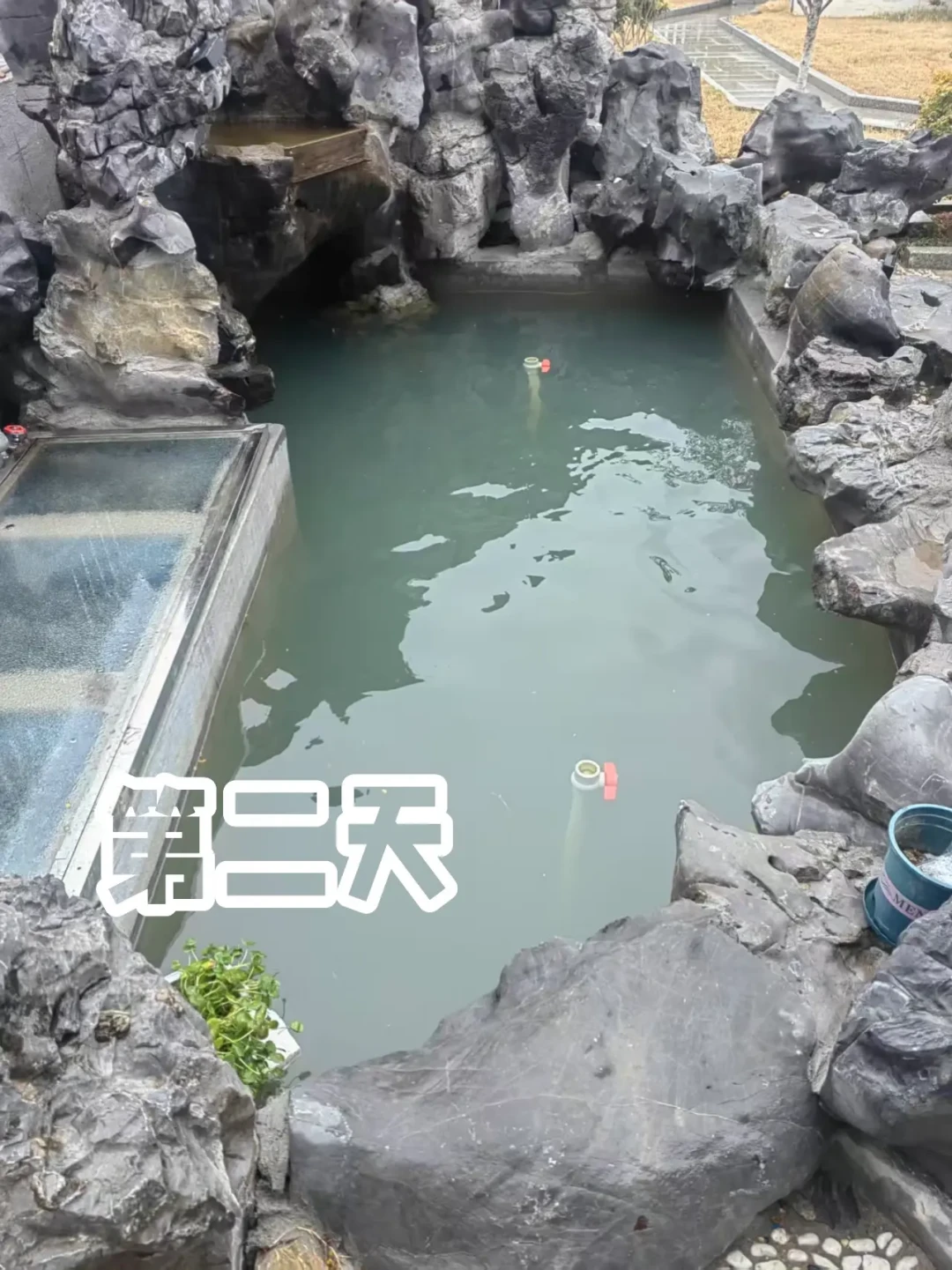 7万的生态鱼池10天翻车:翻遍全网的翻车帖,鱼池都栽在这三个坑里