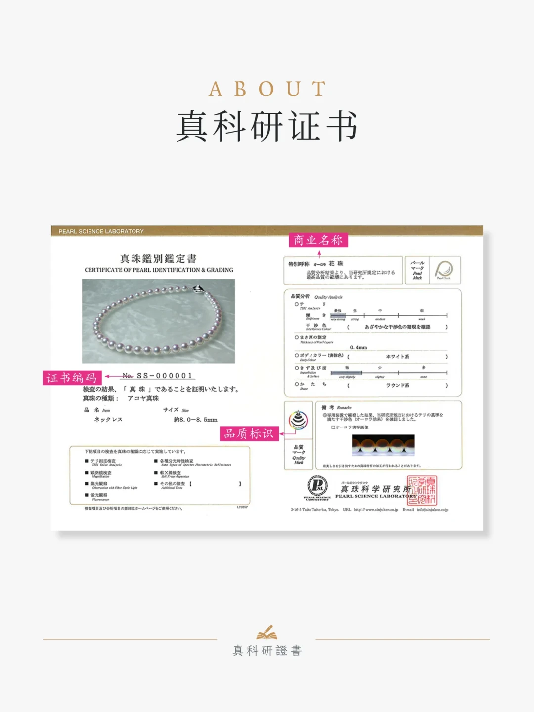 真科研小卡费最高涨10倍,