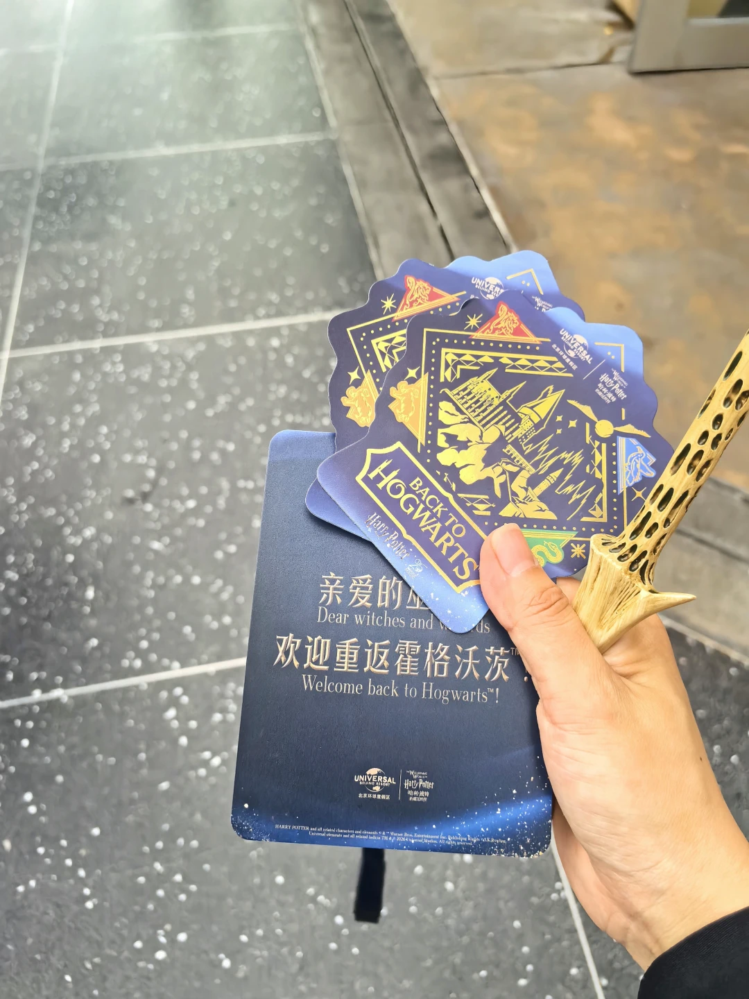 《魔法石》哈迷最忙的四个月:25周年重映、重返霍格沃茨庆典、剧版圣诞开播,一张时间表讲清楚