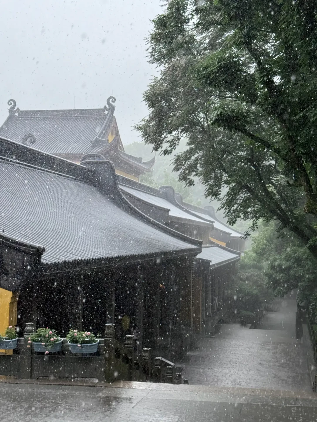 雨天灵隐寺，一半是