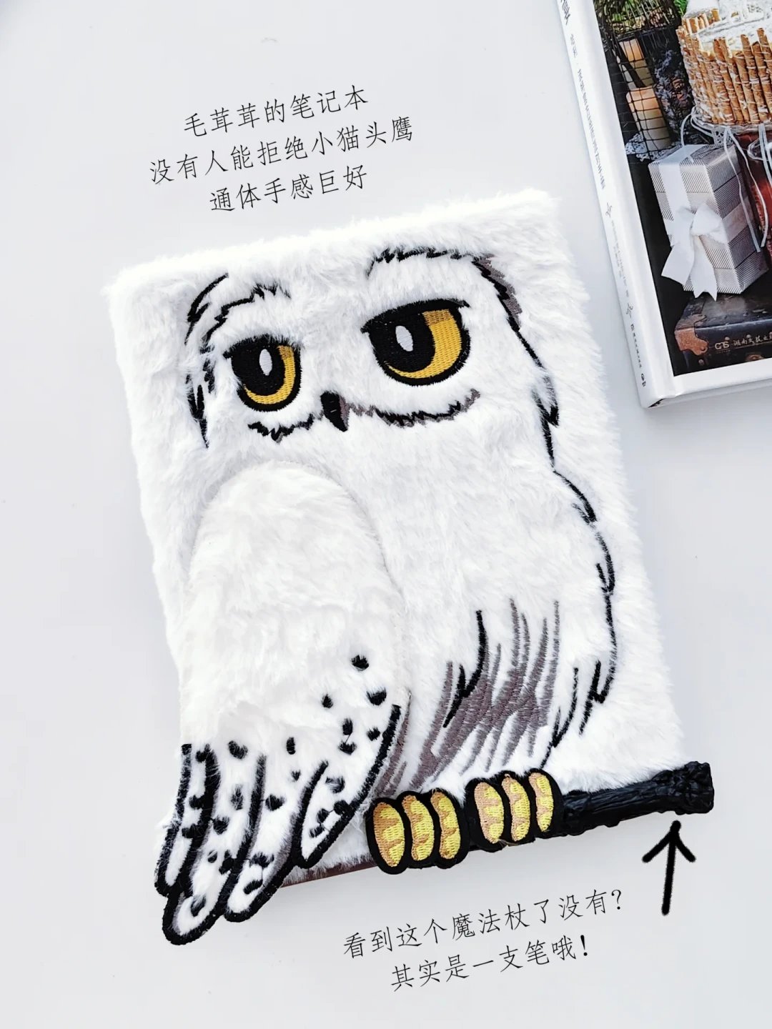 去不了霍格沃茨,就在家里过9月1:官方《魔法盛宴》礼盒在家办“返校”派对,适合谁、怎么玩、怎么避坑