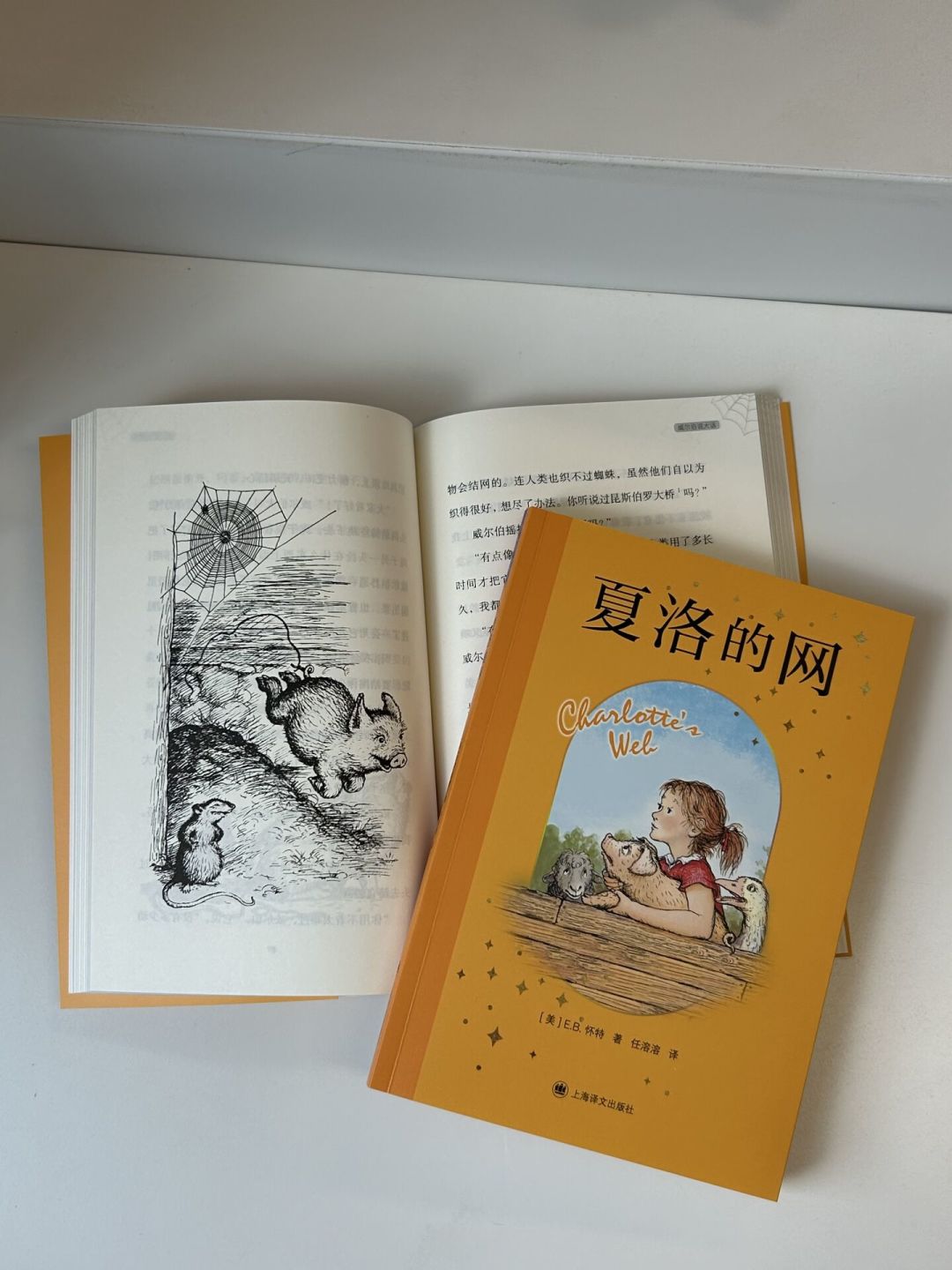 《夏洛的网》：很多人的第一本英文原版，难度、版本坑和读法一次说清
