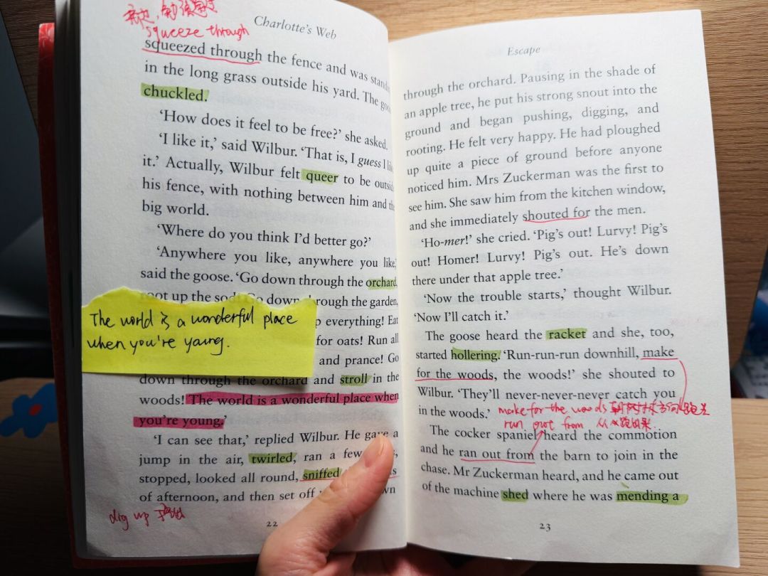 《夏洛的网》：很多人的第一本英文原版，难度、版本坑和读法一次说清