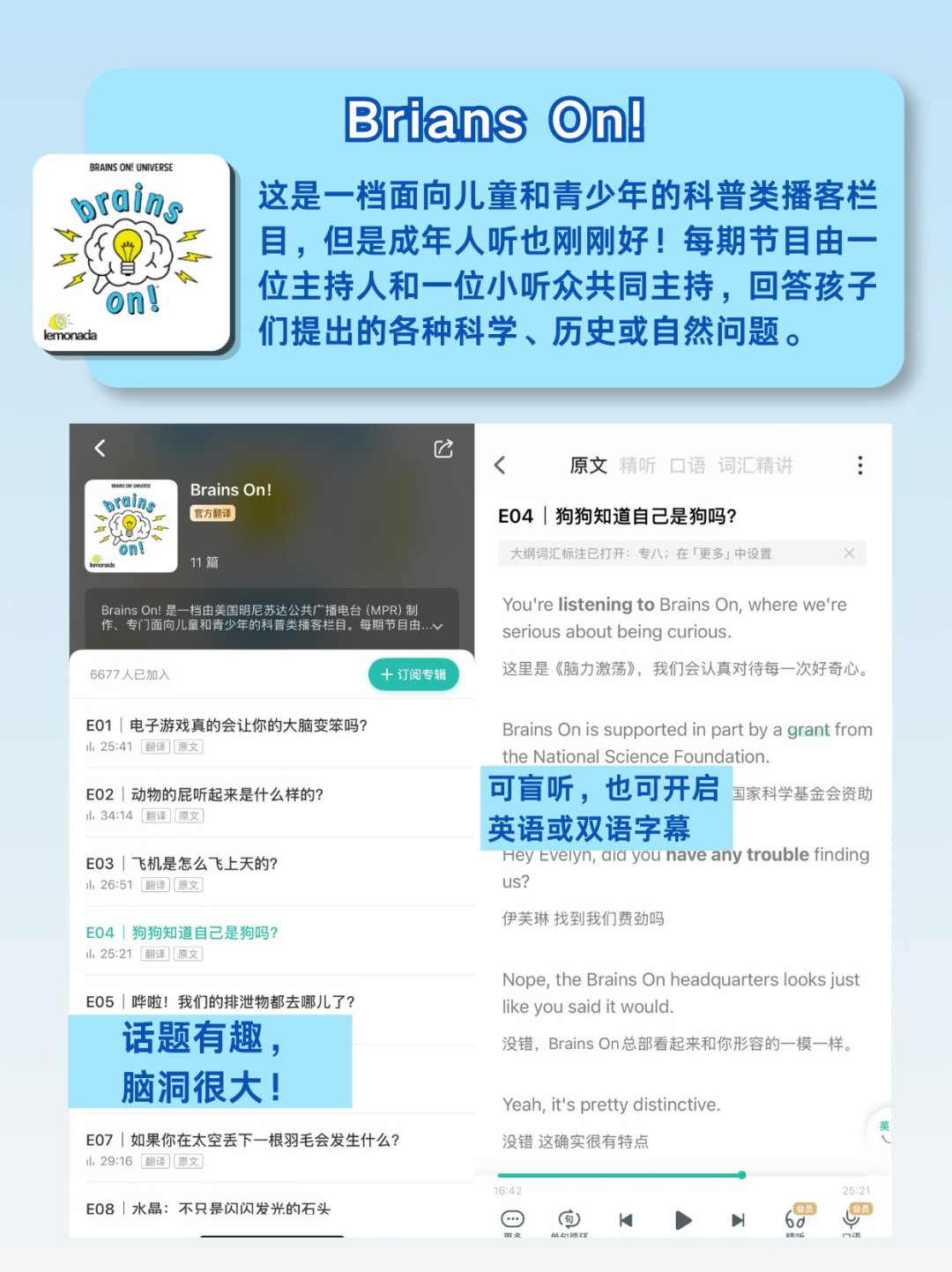 单买200多,大会员99,二手60元:扇贝听力口语会员,四六级二战党到底怎么买
