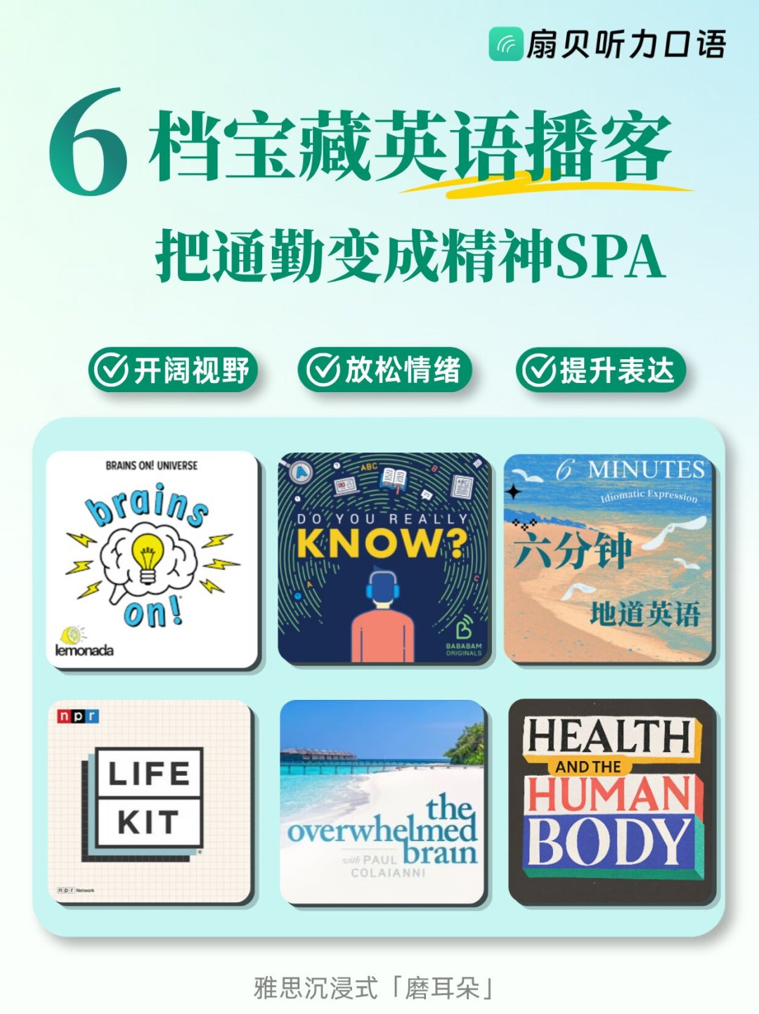 单买200多,大会员99,二手60元:扇贝听力口语会员,四六级二战党到底怎么买