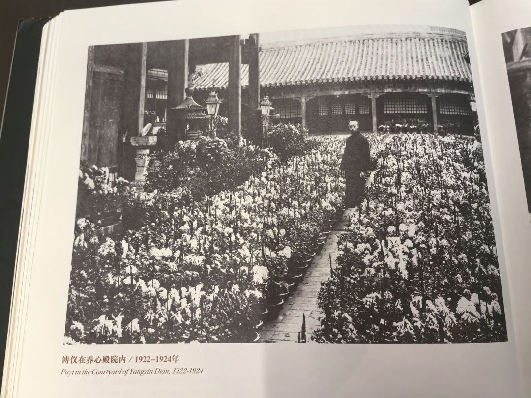 80年前的这一周，溥仪在东京审判连站8天：证词一半用来定罪战犯，一半用来给自己留后路