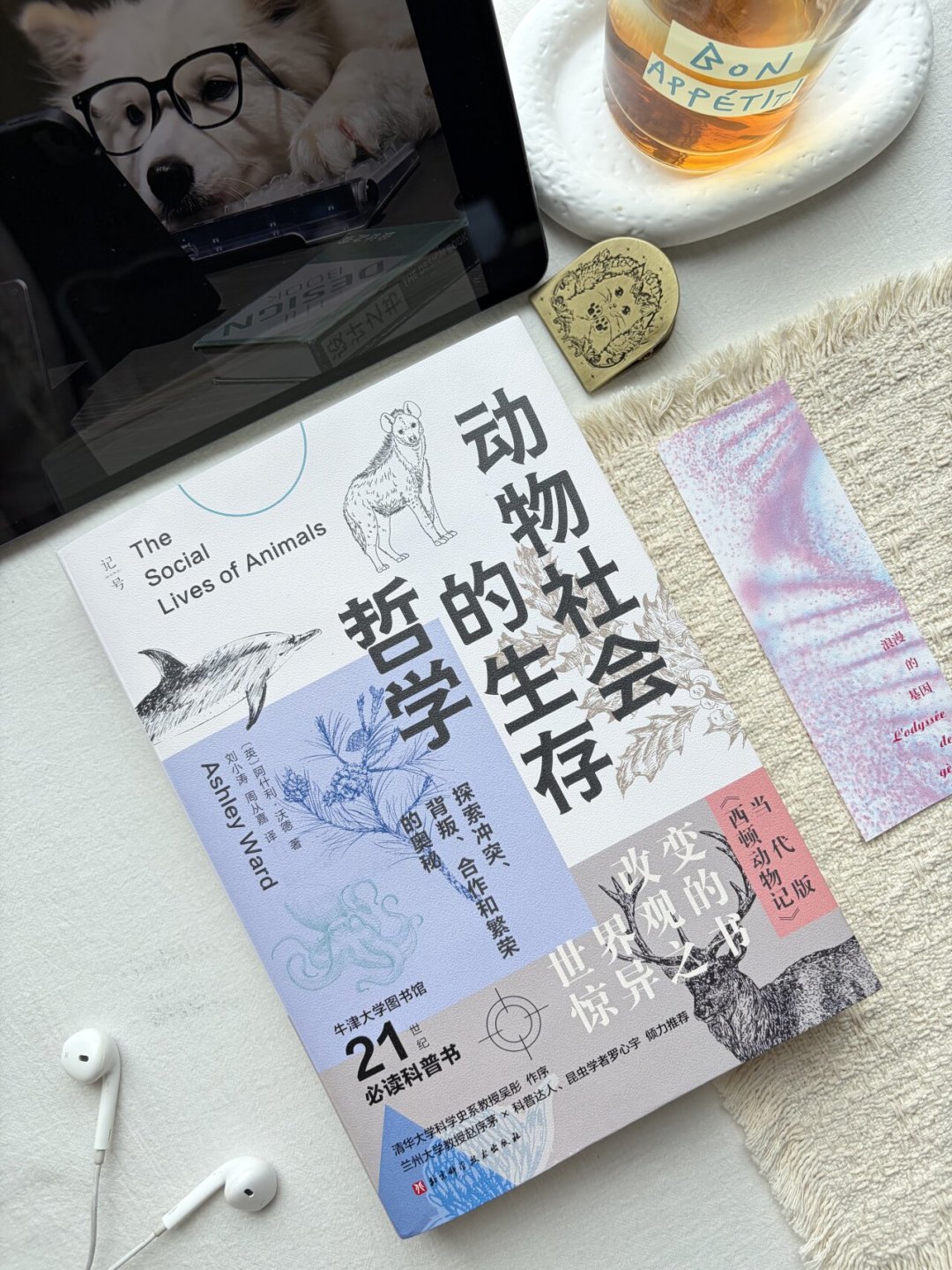 沈石溪翻红了:孩子手里的《狼王梦》可能被删了近千处,开学季囤书前先看这3个坑