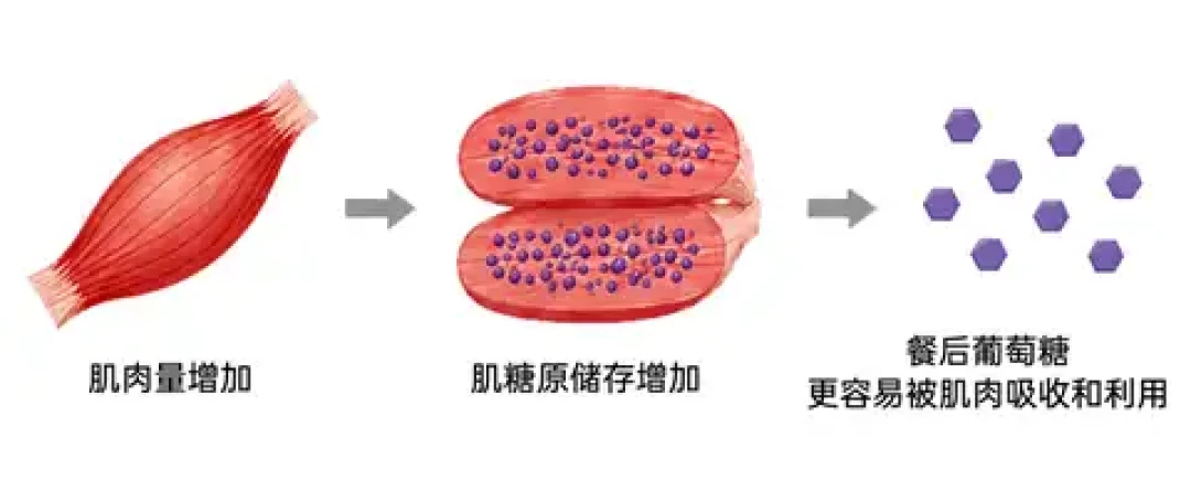 47岁女医生居家抗阻训练上热搜：你收藏的那5个动作，怎么练才算数