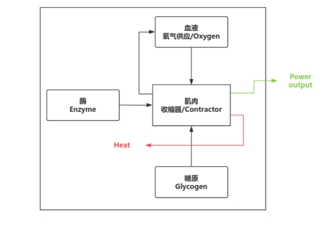 同一个5公里，冬天心率130，夏天飙到150+：心率高了，先别急着降速